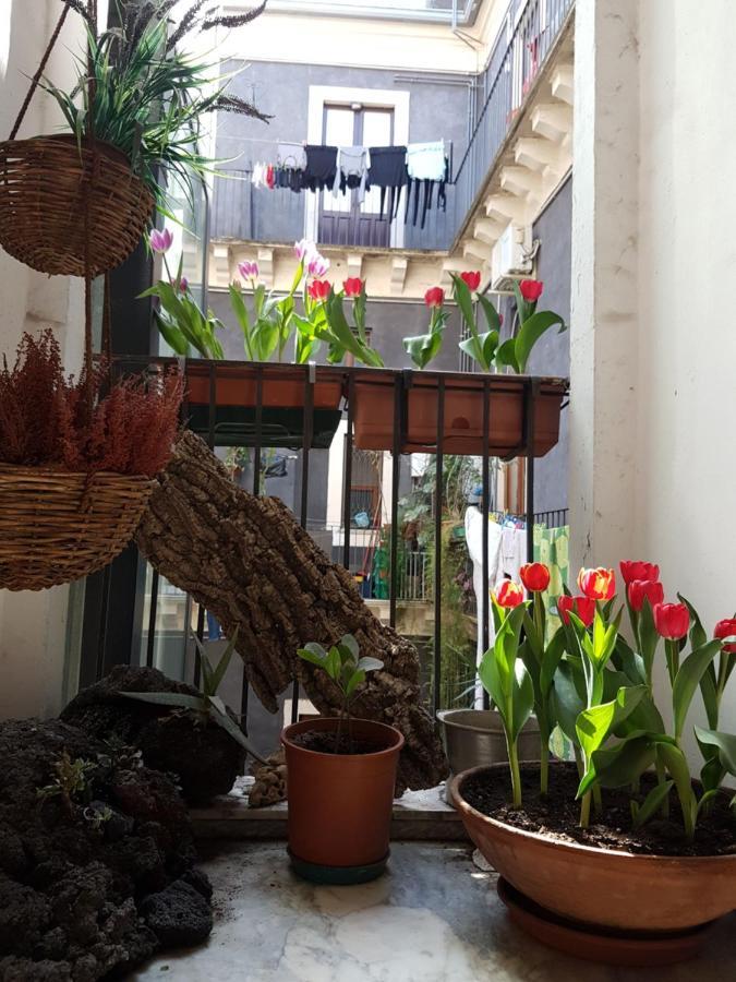 Bellini Apartment คาตาเนีย ภายนอก รูปภาพ